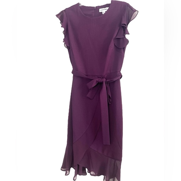 Elegant Purple Ruffle Dress - Picture 8 of 8